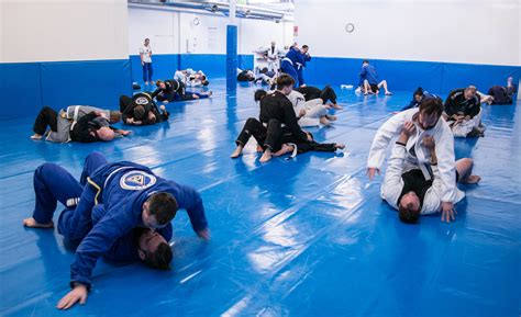 brazilian jiu jitsu videos|free jiu jitsu training videos.